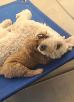 processed/2e879354-8b0b-483e-bc32-10dd1508767c/facility/ed90584a-9374-4361-b639-f0229ecc6c91