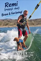 Dark blue collar boy / 35-40 pounds full grown, a male Goldendoodle for sale in Phoenix, AZ – 7 of 10
