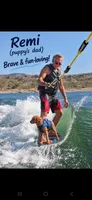 Yellow collar girl / 35 - 40 pounds full grown, a female Goldendoodle for sale in Phoenix, AZ – 9 of 10