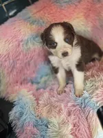 processed/2e8d2523-8399-436a-a8b4-afb5bc0c3cd6/listing/039ee0d7-dad0-4504-b9ed-f340c892839f/73c04d30-9091-44eb-afa7-2ffc7a4b4321