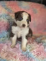 processed/2e8d2523-8399-436a-a8b4-afb5bc0c3cd6/listing/039ee0d7-dad0-4504-b9ed-f340c892839f/c2e136d1-a424-4ab5-bb67-5c966901bb2e