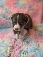 processed/2e8d2523-8399-436a-a8b4-afb5bc0c3cd6/listing/a347fe95-2023-41b0-870f-af011d1778fd/5bdde86f-c066-4341-9fa7-28a421e36ec1