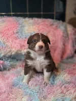 processed/2e8d2523-8399-436a-a8b4-afb5bc0c3cd6/listing/a347fe95-2023-41b0-870f-af011d1778fd/7b9a94db-b3c7-4ecf-adc2-779fc99c5938