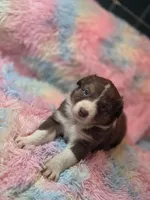 processed/2e8d2523-8399-436a-a8b4-afb5bc0c3cd6/listing/a347fe95-2023-41b0-870f-af011d1778fd/9e4f95c2-232d-4b63-8734-d75ce376e7f6