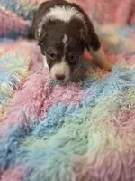 processed/2e8d2523-8399-436a-a8b4-afb5bc0c3cd6/listing/a347fe95-2023-41b0-870f-af011d1778fd/d7942cc8-3e05-446e-ac72-3cf793826d0a