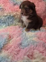 processed/2e8d2523-8399-436a-a8b4-afb5bc0c3cd6/listing/ddf4c4d4-d279-4280-84aa-c8252eec8ece/1026c84d-9485-49c6-91fa-f0ed0a11a060