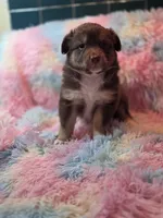 processed/2e8d2523-8399-436a-a8b4-afb5bc0c3cd6/listing/ddf4c4d4-d279-4280-84aa-c8252eec8ece/5307b979-6a45-4918-8eed-d9ab5662ca0d