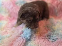 processed/2e8d2523-8399-436a-a8b4-afb5bc0c3cd6/listing/ddf4c4d4-d279-4280-84aa-c8252eec8ece/cf3ab8c3-1865-4f6a-8fd7-55a60b261aba