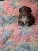 processed/2e8d2523-8399-436a-a8b4-afb5bc0c3cd6/listing/ddf4c4d4-d279-4280-84aa-c8252eec8ece/e2390062-04f5-47e6-8fcf-692ad2a48c3b