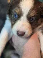 processed/2e8d2523-8399-436a-a8b4-afb5bc0c3cd6/listing/e7ece6dc-c814-4211-b169-cbb7cc6e4e73/9f11de41-2b88-491e-9933-1a15109045c1