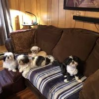 processed/2e92e2cf-32af-4c77-99cb-8c44db338702/facility/01c0c015-d5ea-4294-a491-4ec309a50073