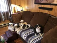 processed/2e92e2cf-32af-4c77-99cb-8c44db338702/facility/01c0c015-d5ea-4294-a491-4ec309a50073