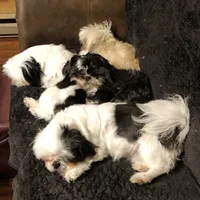 processed/2e92e2cf-32af-4c77-99cb-8c44db338702/facility/105c7ce1-283a-4c5d-b7e9-60bb6c360d8d