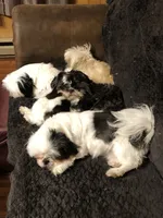 processed/2e92e2cf-32af-4c77-99cb-8c44db338702/facility/105c7ce1-283a-4c5d-b7e9-60bb6c360d8d