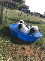 processed/2e92e2cf-32af-4c77-99cb-8c44db338702/facility/4b2220a2-9ac3-4a7f-885b-0f67b657277f