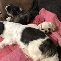 processed/2e92e2cf-32af-4c77-99cb-8c44db338702/facility/ad8d20cd-f055-42d2-af8b-cb5422ea5030