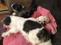 processed/2e92e2cf-32af-4c77-99cb-8c44db338702/facility/ad8d20cd-f055-42d2-af8b-cb5422ea5030