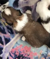 processed/2e92e2cf-32af-4c77-99cb-8c44db338702/listing/c18f7eb0-a63e-46a6-81d2-2e11039a9579/6e05b70a-023f-4759-b99f-13d2324adf87