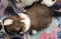 processed/2e92e2cf-32af-4c77-99cb-8c44db338702/listing/c18f7eb0-a63e-46a6-81d2-2e11039a9579/91083246-b47c-44a9-b7ad-a319d5bfdded