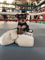 processed/2e954bab-21ee-4f38-9a64-fc010180845c/listing/52ab03f6-5de8-41d5-8075-6bd2f2f076a0/13b0d6b6-74e1-4116-a1ca-8b65cff7328b