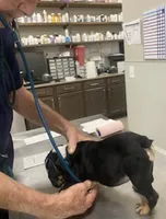 processed/2ea589be-1142-48b3-9647-3686bc3154c1/facility/0e48c01f-cf8c-46d9-ace3-1209dc7b90c6