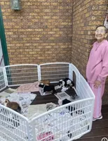 processed/2ea589be-1142-48b3-9647-3686bc3154c1/facility/219e4ceb-d25c-4b90-a165-d53cb36419c3