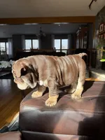 processed/2ea589be-1142-48b3-9647-3686bc3154c1/listing/0bb04dd0-bce9-4e67-b066-203b59cc9365/1a8a2981-fc61-4ee1-8979-18344ce5674f