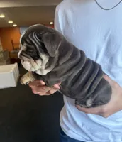 processed/2ea589be-1142-48b3-9647-3686bc3154c1/listing/0bb04dd0-bce9-4e67-b066-203b59cc9365/4b4e3ac1-6cb2-463c-9620-f45b72b439cc