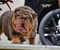 processed/2ea589be-1142-48b3-9647-3686bc3154c1/listing/0bb04dd0-bce9-4e67-b066-203b59cc9365/4ddc1fb1-3116-4af6-87ea-8d32eac840a7