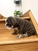 processed/2ea589be-1142-48b3-9647-3686bc3154c1/listing/0bb04dd0-bce9-4e67-b066-203b59cc9365/5ab78058-cded-47a6-a2ea-cca591d41125