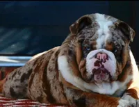 processed/2ea589be-1142-48b3-9647-3686bc3154c1/listing/0bb04dd0-bce9-4e67-b066-203b59cc9365/b0a4f65b-da2c-4e3c-9d25-17a91e30fbe1