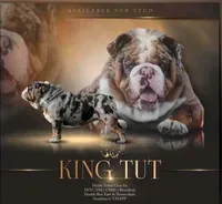 processed/2ea589be-1142-48b3-9647-3686bc3154c1/listing/0bb04dd0-bce9-4e67-b066-203b59cc9365/d0204aab-570e-4840-959a-1f1e27cab521