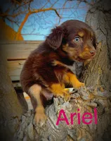 processed/2ea7f288-e7a3-48fd-9d58-0fd1ac45ea99/listing/0001fe39-981f-4d61-85cf-f8d8b98dfe01/0f561321-dce1-4875-86e8-81a8a1e6957f