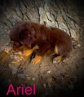 processed/2ea7f288-e7a3-48fd-9d58-0fd1ac45ea99/listing/0001fe39-981f-4d61-85cf-f8d8b98dfe01/17117ae8-bf5d-4aa8-b5f3-7efccf23176b