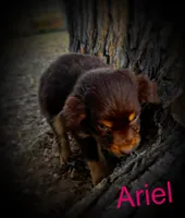 processed/2ea7f288-e7a3-48fd-9d58-0fd1ac45ea99/listing/0001fe39-981f-4d61-85cf-f8d8b98dfe01/869fc11f-1d78-4305-aca9-61f4dc3907bc