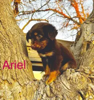 processed/2ea7f288-e7a3-48fd-9d58-0fd1ac45ea99/listing/0001fe39-981f-4d61-85cf-f8d8b98dfe01/b7d08d9e-b267-40df-b3a1-86ccdbda3c41