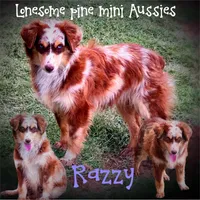 processed/2ea7f288-e7a3-48fd-9d58-0fd1ac45ea99/listing/0001fe39-981f-4d61-85cf-f8d8b98dfe01/bc8c000e-308c-409c-bf16-250a8217e379