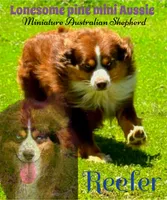 processed/2ea7f288-e7a3-48fd-9d58-0fd1ac45ea99/listing/0001fe39-981f-4d61-85cf-f8d8b98dfe01/c57a140f-8b85-4b90-a9c7-4ee0373d0556