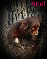 processed/2ea7f288-e7a3-48fd-9d58-0fd1ac45ea99/listing/0001fe39-981f-4d61-85cf-f8d8b98dfe01/df43a974-6b25-473b-9b87-48326c8448fd