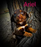 processed/2ea7f288-e7a3-48fd-9d58-0fd1ac45ea99/listing/0001fe39-981f-4d61-85cf-f8d8b98dfe01/fb89b2f7-92de-4a1f-a494-ed2df219efb1