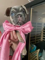 processed/2eafb122-ddb9-4992-bbc8-14cce6db2ca6/listing/09814081-7a49-4a77-9af5-3dd5322122fc/55b8f3f5-d45d-4170-8da9-8b538a79e4ed