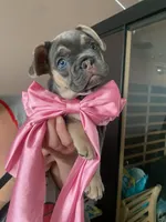 processed/2eafb122-ddb9-4992-bbc8-14cce6db2ca6/listing/09814081-7a49-4a77-9af5-3dd5322122fc/7cdfabf6-2492-4a8a-a22b-3e7e8ed6ea9b