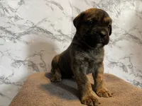 processed/2eb2ad9d-3b89-4974-a2bb-cd9a406d587b/listing/ebdf3f59-3c9d-49f6-a19a-705bd6e8b037/395f0ae7-d832-414b-8da1-234cf17bad74