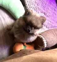 processed/2ebde951-36f4-4c51-9fe6-d09f12916a65/listing/5e744303-5ed2-4027-9131-d7a87f67646a/2384debe-89a0-444d-912a-2e60bd577562