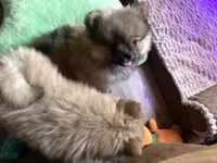 processed/2ebde951-36f4-4c51-9fe6-d09f12916a65/listing/5e744303-5ed2-4027-9131-d7a87f67646a/5ebe4e23-14e2-414c-9d27-d4a9815ab0e8