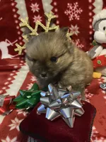 processed/2ebde951-36f4-4c51-9fe6-d09f12916a65/listing/5e744303-5ed2-4027-9131-d7a87f67646a/5edfc6a4-d42e-4e58-b179-dc00d16daa73