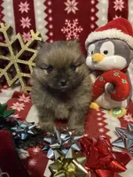 processed/2ebde951-36f4-4c51-9fe6-d09f12916a65/listing/5e744303-5ed2-4027-9131-d7a87f67646a/a908c17e-e429-4855-bff4-a6abc341fdb0