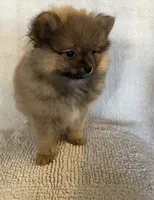 processed/2ebde951-36f4-4c51-9fe6-d09f12916a65/listing/5e744303-5ed2-4027-9131-d7a87f67646a/c2f7f950-19fe-4d0e-9631-0775d7fd0290