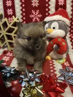 processed/2ebde951-36f4-4c51-9fe6-d09f12916a65/listing/5e744303-5ed2-4027-9131-d7a87f67646a/d9727ba4-2445-4e06-8cde-f4839a483394