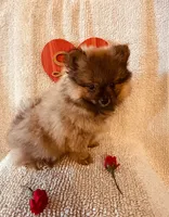 processed/2ebde951-36f4-4c51-9fe6-d09f12916a65/listing/5e744303-5ed2-4027-9131-d7a87f67646a/f03df297-929f-47a3-a8fa-4cd6db2e3ea4